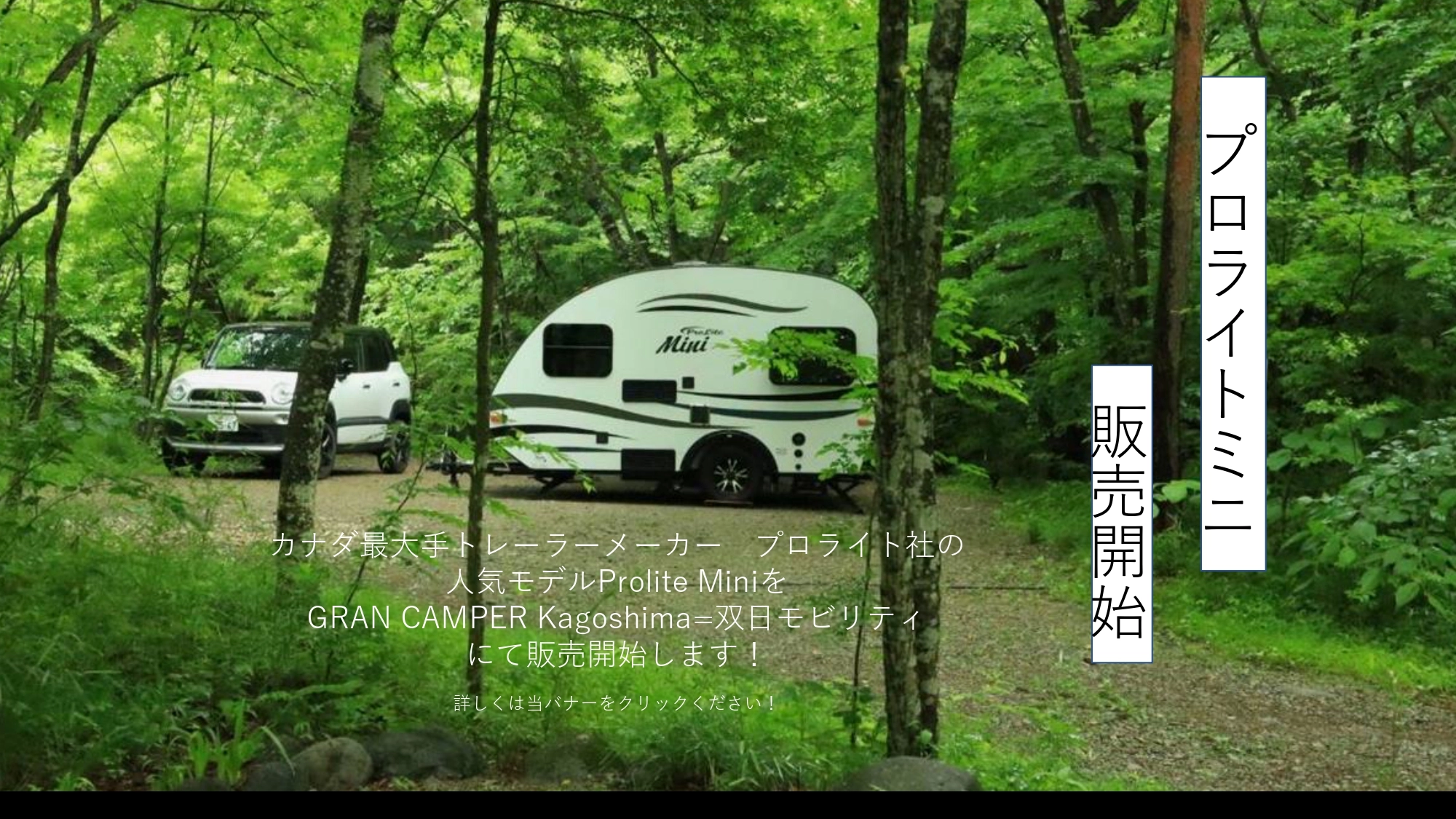 プロライト　バナー 　最終稿_page-0001.jpg